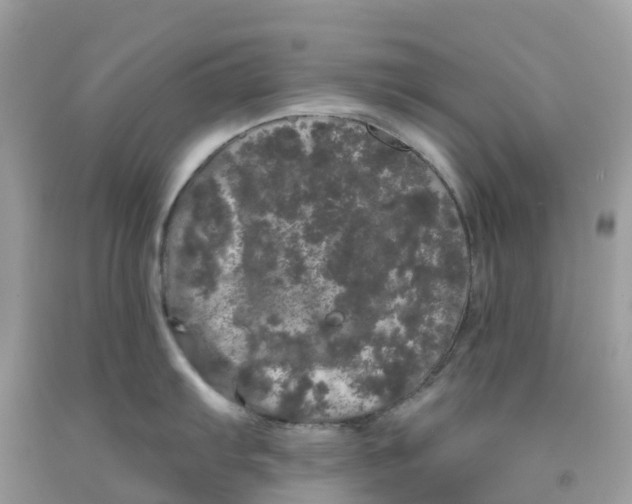 X0000091091103200709041257