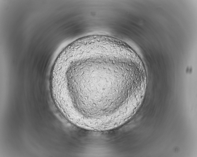 X0000091091104200709041257