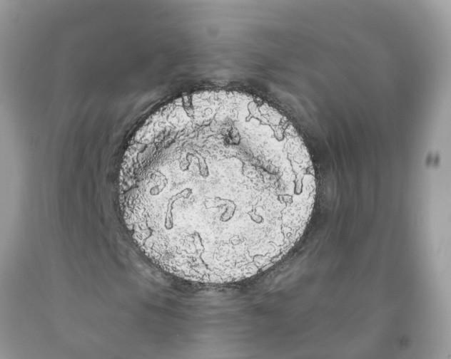 X0000091091105200709041256