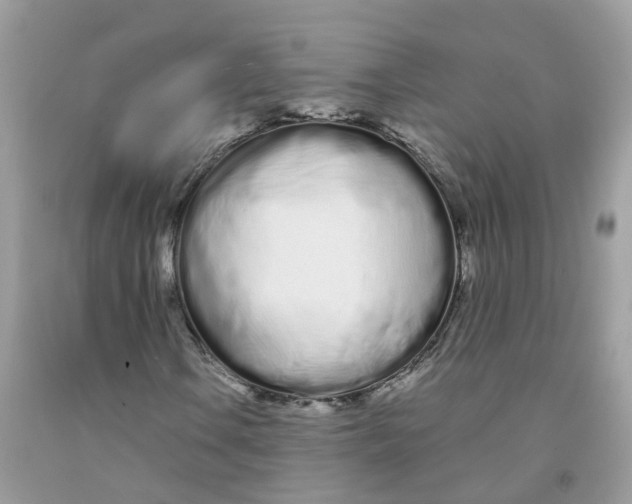 X0000091091106200709041256