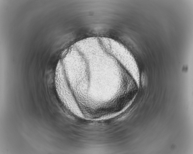 X0000091091107200709041256