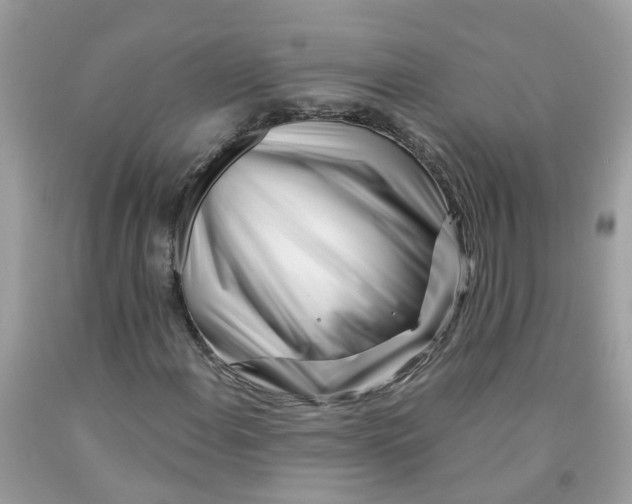 X0000091091108200709041256