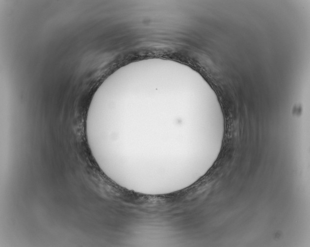 X0000091091109200709041256