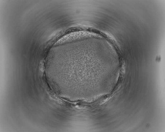 X0000091091110200709041256