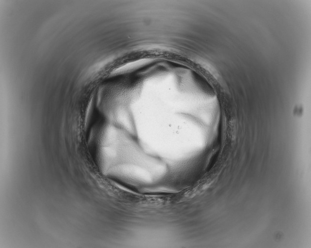 X0000091091111200709041256