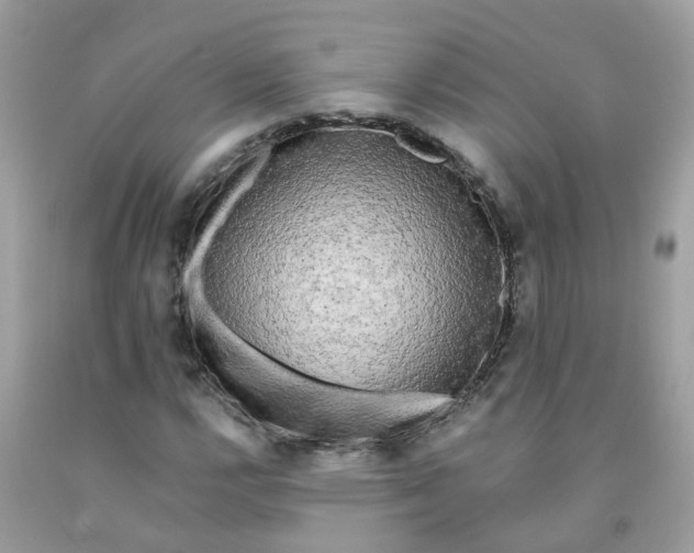 X0000091091112200709041256