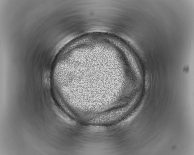 X0000091091113200709041256