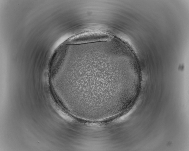 X0000091091114200709041256