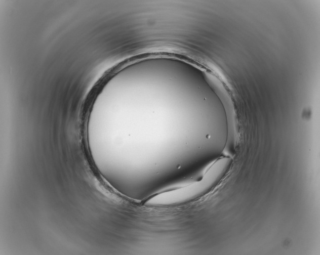 X0000091091116200709041256