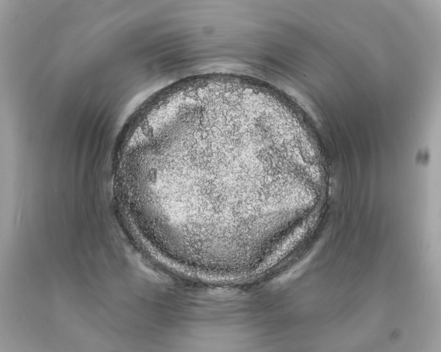 X0000091091117200709041256