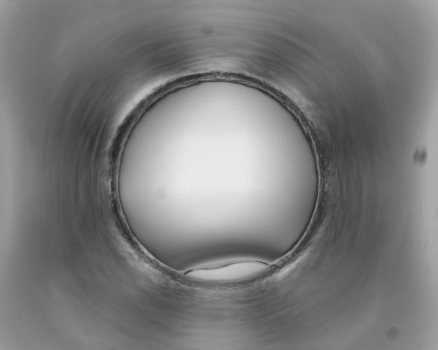 X0000091091118200709041256