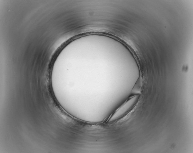 X0000091091119200709041256