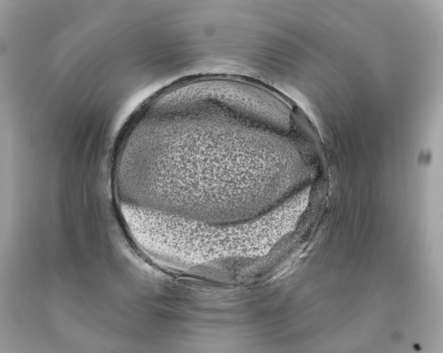 X0000091091120200709041256