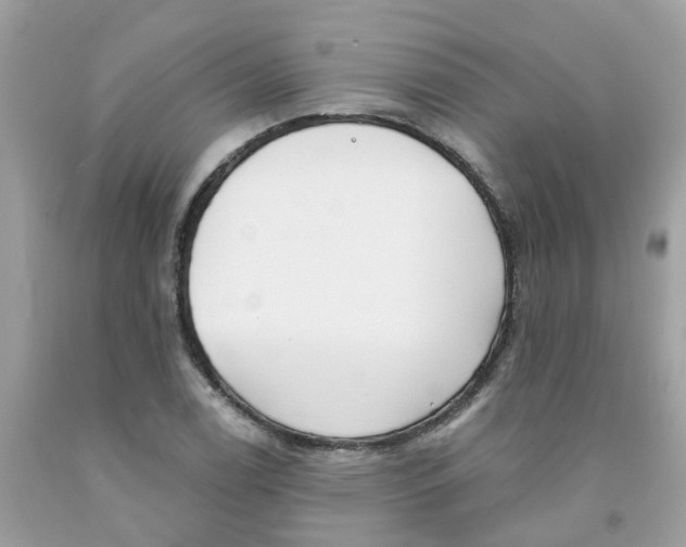 X0000091091122200709041256