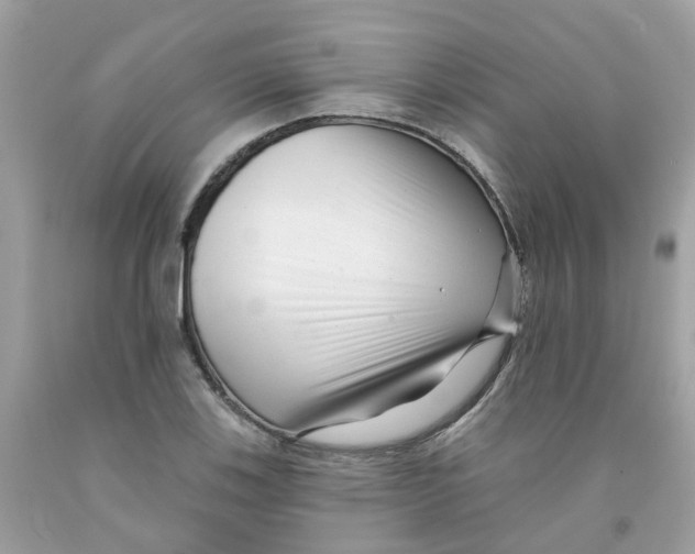 X0000091091123200709041256