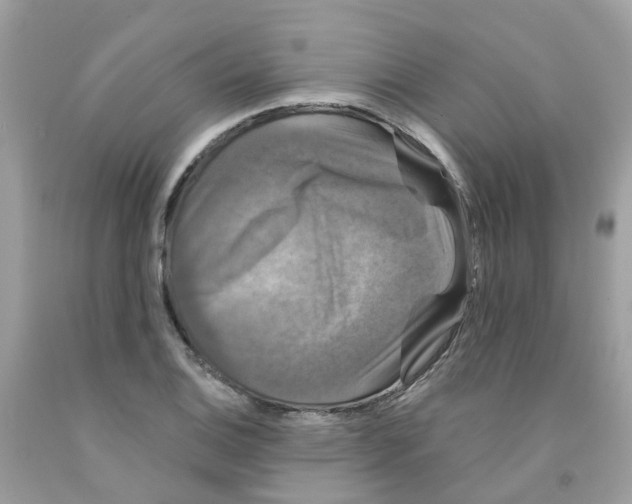 X0000091091124200709041256