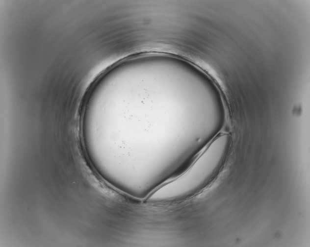 X0000091091125200709041256