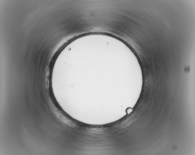 X0000091091126200709041256