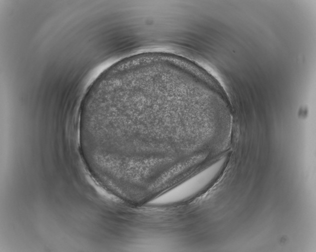 X0000091091127200709041256