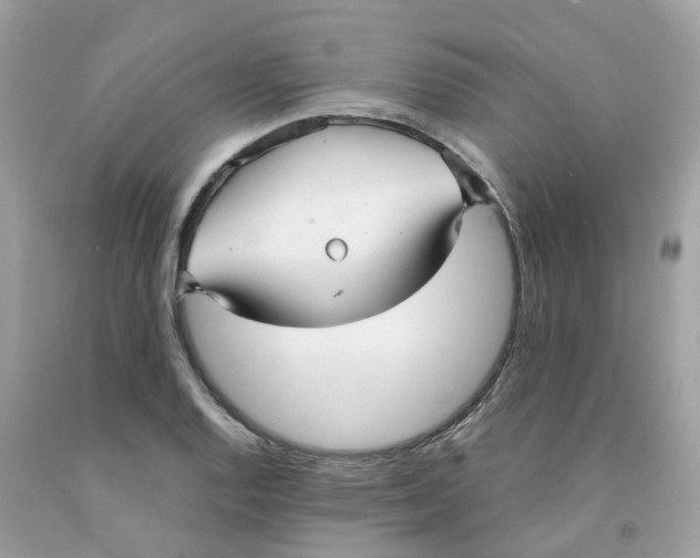 X0000091091128200709041256