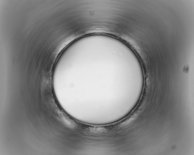 X0000091091129200709041256