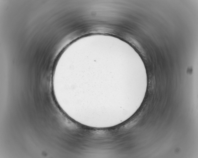 X0000091091130200709041256