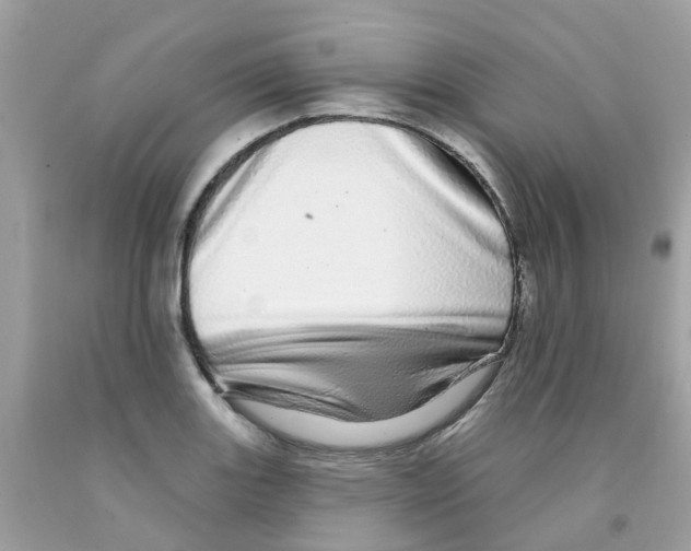 X0000091091131200709041257