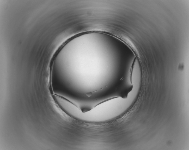 X0000091091132200709041257