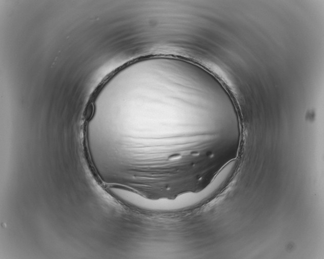 X0000091091133200709041257
