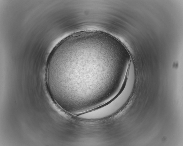 X0000091091134200709041257