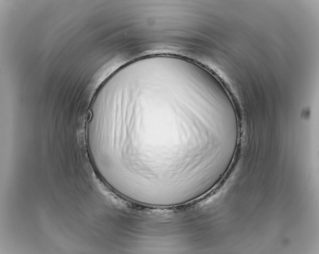 X0000091091137200709041257