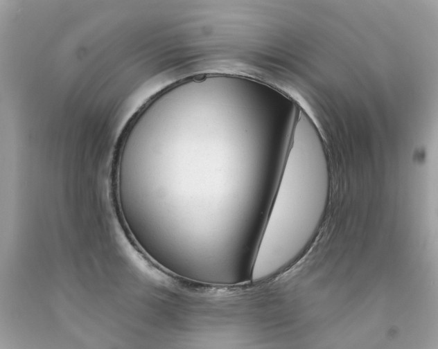 X0000091091139200709041257