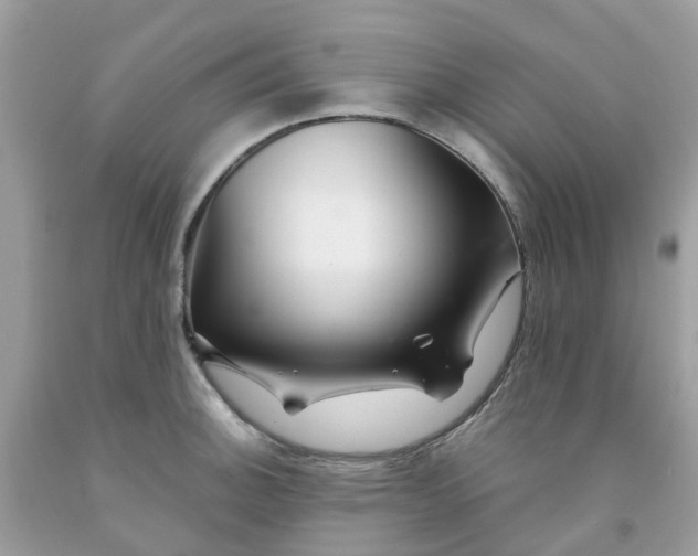 X0000091091140200709041257