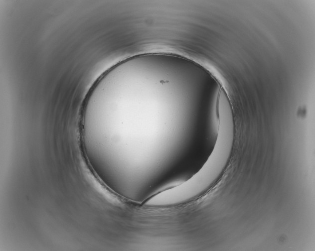 X0000091091142200709041257