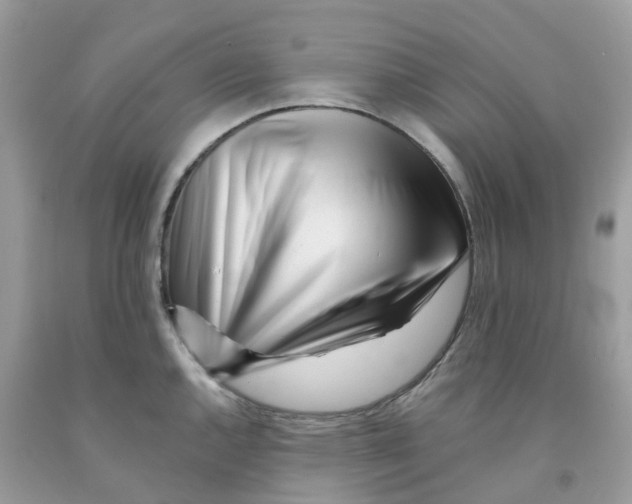 X0000091091144200709041257