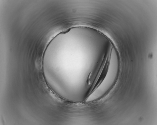 X0000091091145200709041257