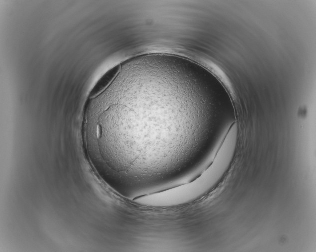 X0000091091146200709041257