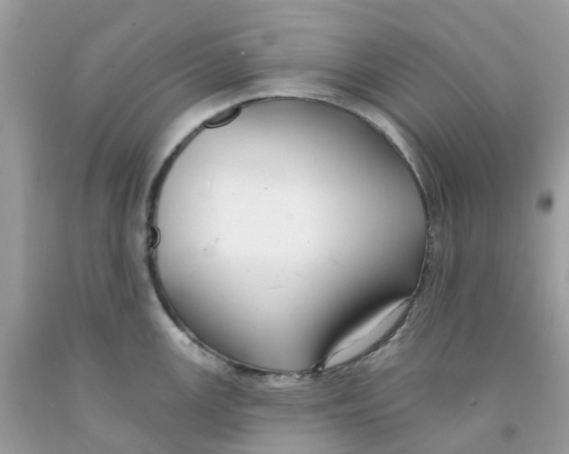 X0000091091147200709041257