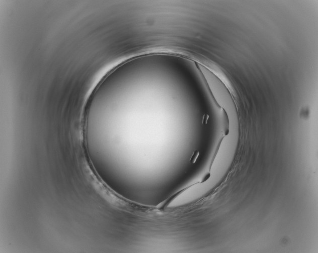 X0000091091148200709041257