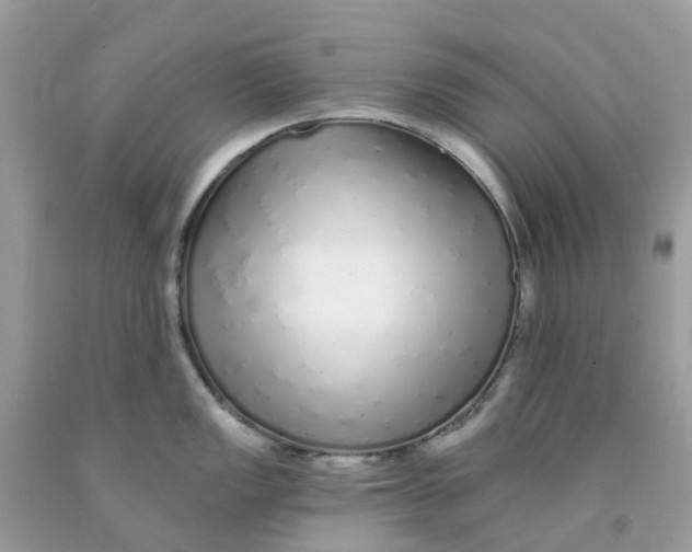 X0000091091149200709041257