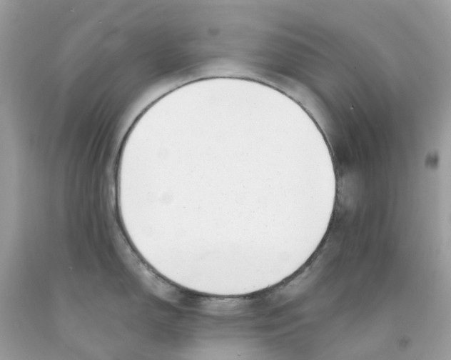 X0000091091150200709041257