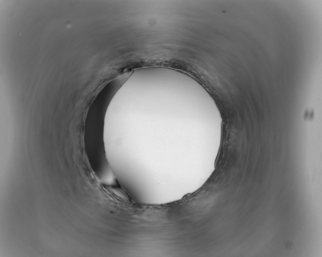 X0000091091153200709041256