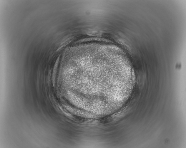 X0000091091154200709041256