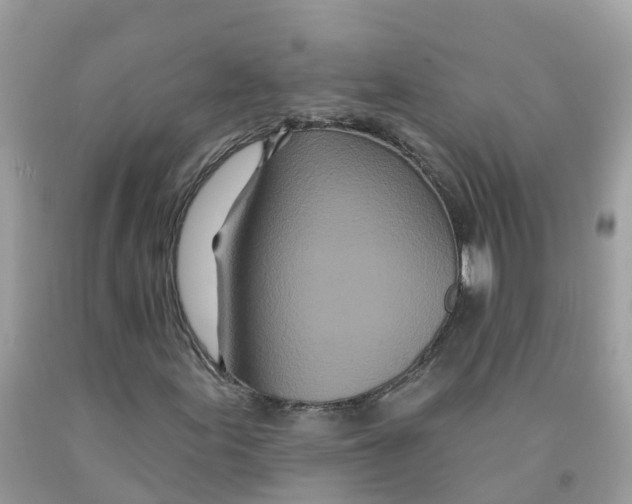 X0000091091155200709041256