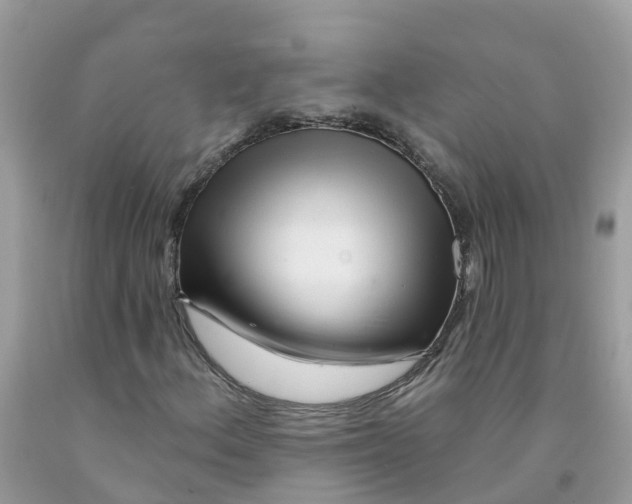 X0000091091156200709041256