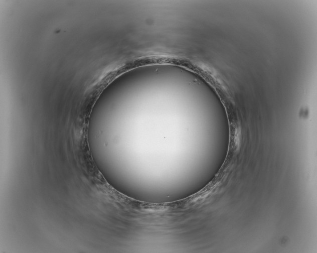 X0000091091157200709041256