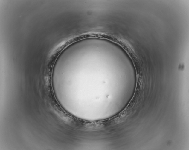 X0000091091159200709041256