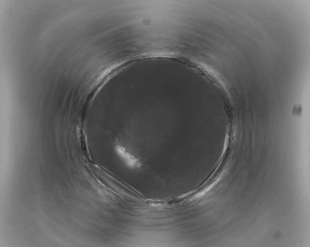 X0000091091161200709041256