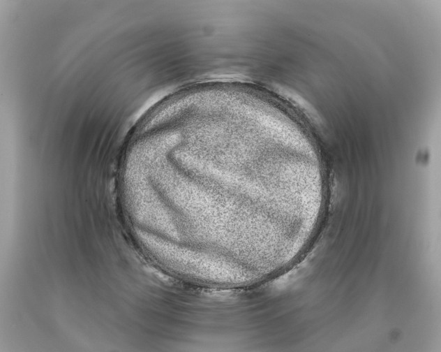 X0000091091162200709041256