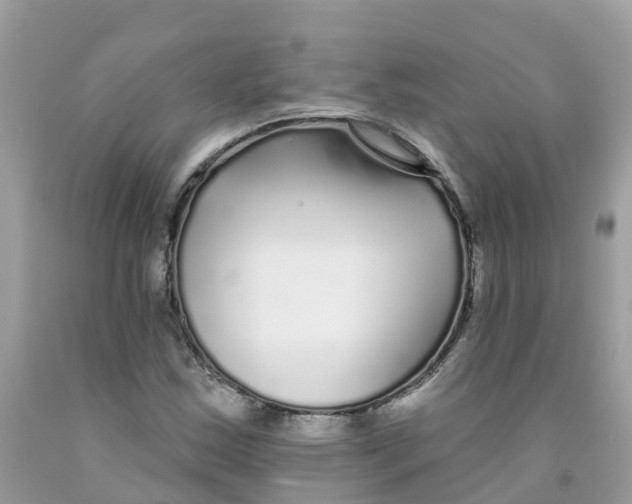 X0000091091163200709041256